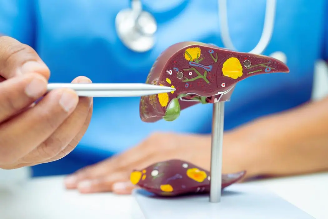 Вред алкоголя для печени: Что нужно знать?